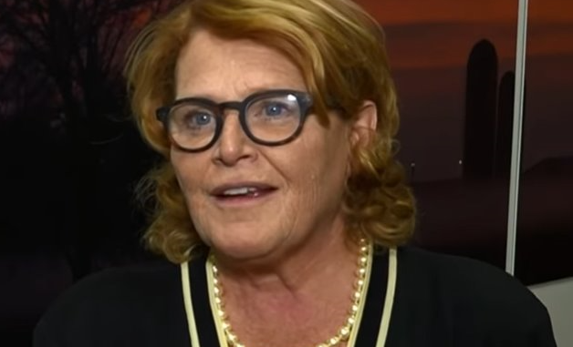 Heitkamp IV