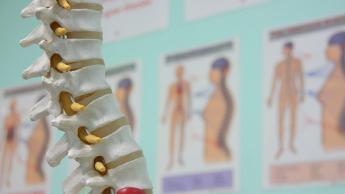 Chiropractic