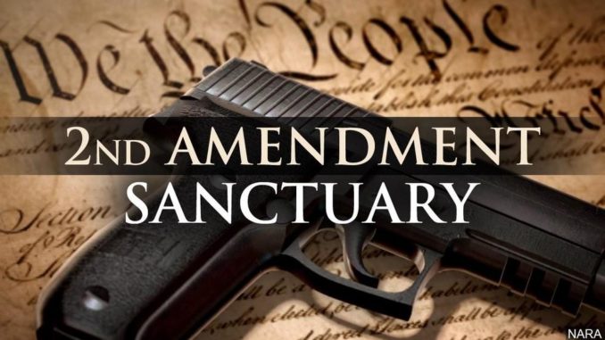 Second Amendment Sanctuary Pic